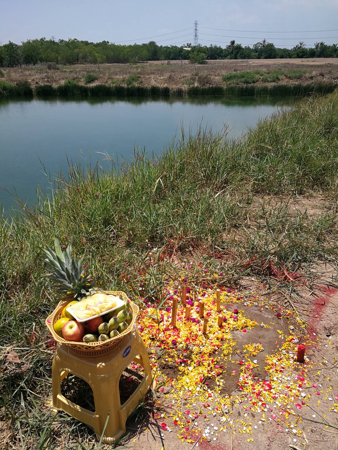 Worship at the pond